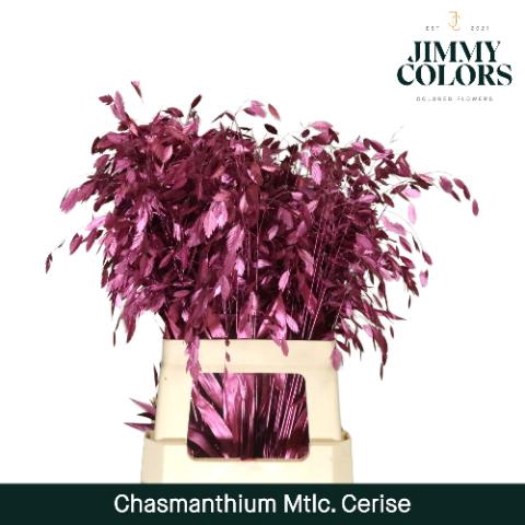 <h4>Chasmanthium L70 Metallic Cerise</h4>