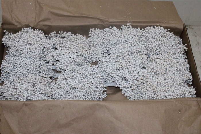 <h4>Dried Pepperberries White</h4>