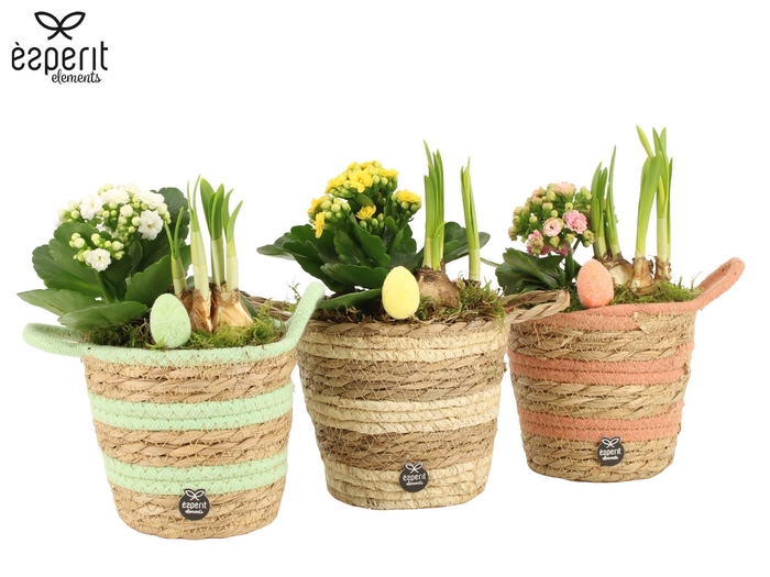 <h4>70984: Easter arrangement</h4>