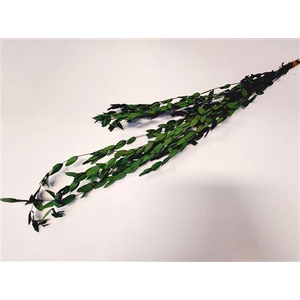 Bunch Euca Parvifoglia Pres.60g
