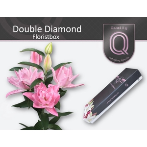 LI OR DU DOU DIAMOND FLORISTBOX 4+