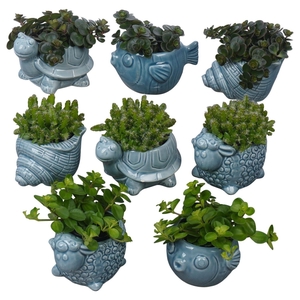 Arr. Planten L%