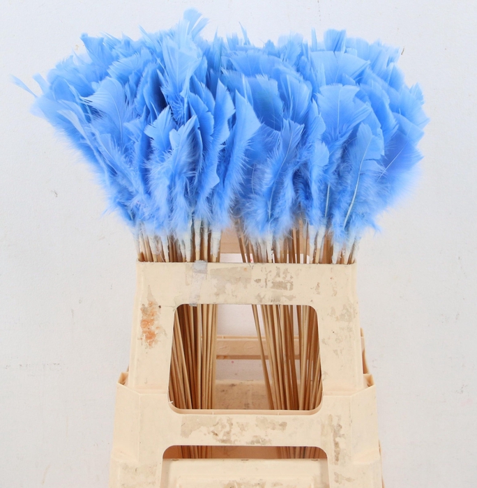 <h4>HUIS EN TUINDECO H%</h4>