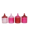 Bicolore Dutch Pink Mix Jars Ass 11x17cm