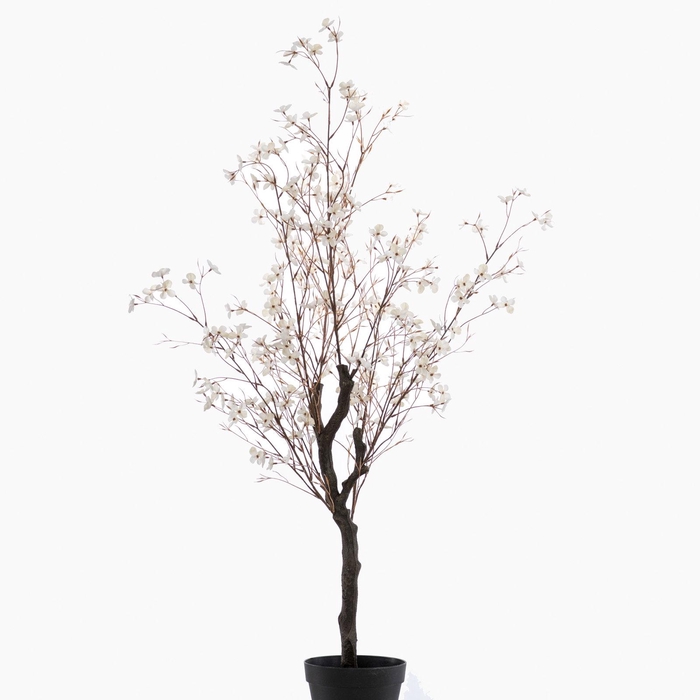<h4>Blossom Tree in Pot Cream PP550060CRM</h4>