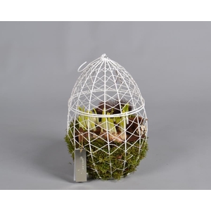 Metaal rek met Narcis Tat