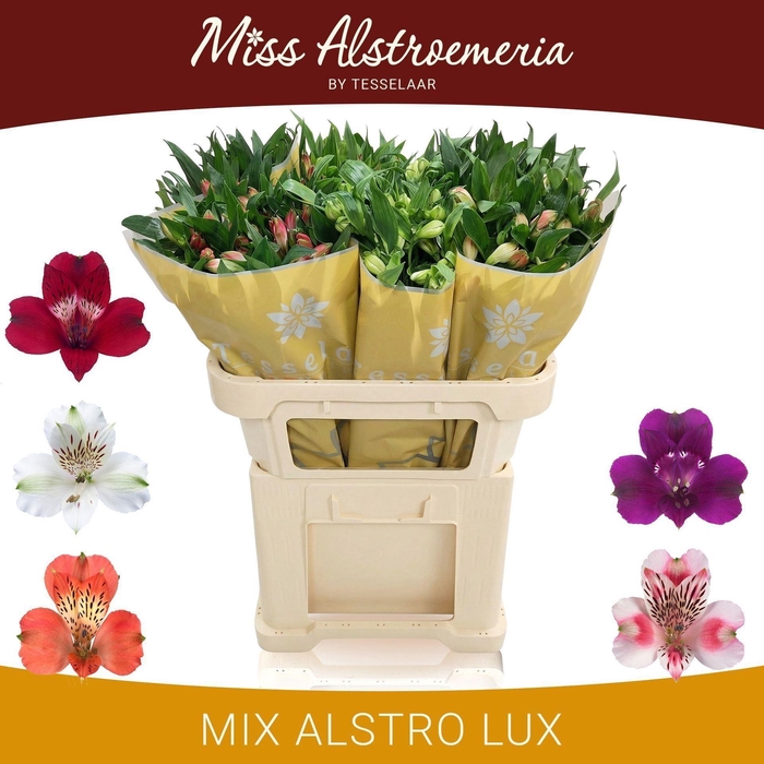 <h4>Alstr Mix in fust</h4>