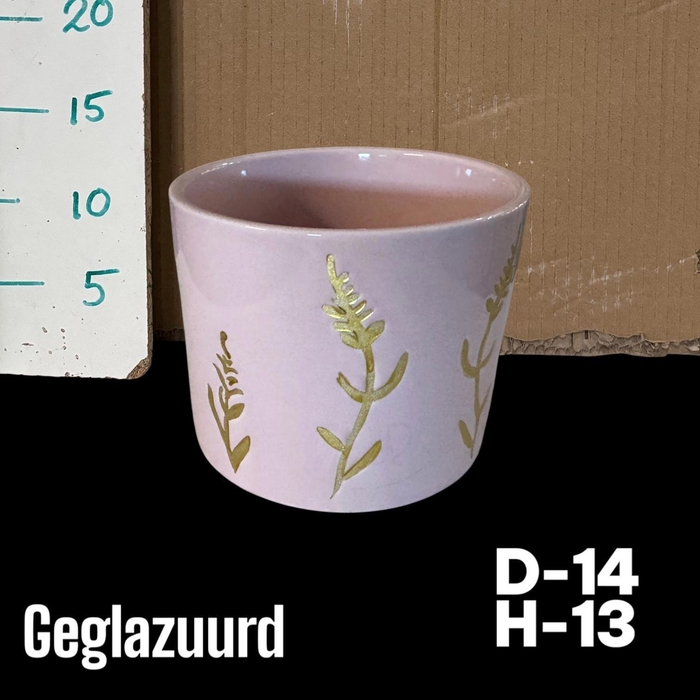 <h4>POT H%</h4>