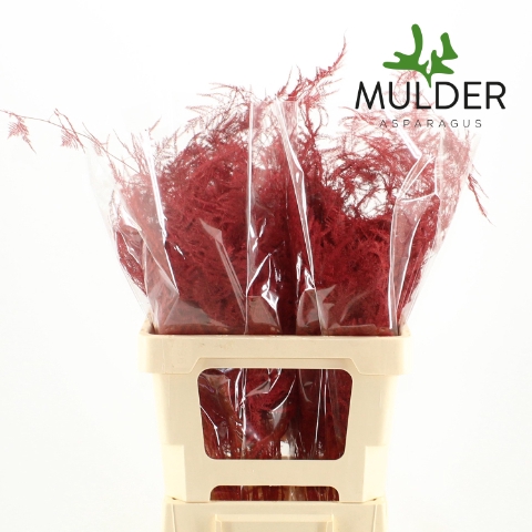 <h4>Asp Klb H% Extra Veren Red</h4>