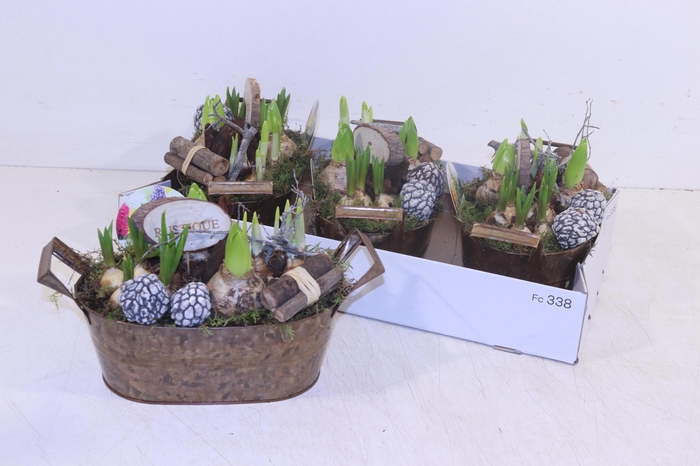 <h4>ARR BOL KNOLGEWAS</h4>