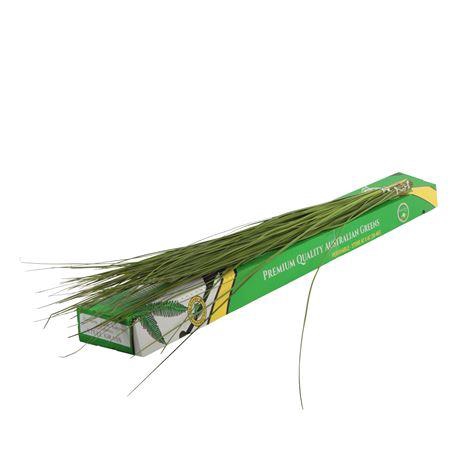 <h4>STEELGRASS 120 CM</h4>