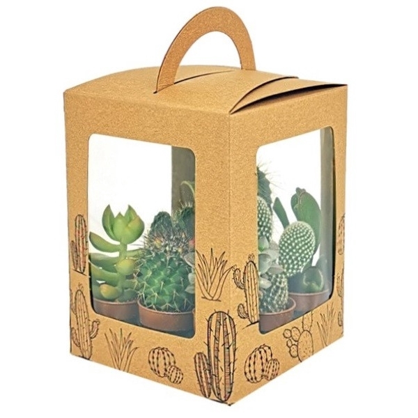 <h4>MIX CACTUS AND SUCCULENTS POT Ø 3,5 - 9 PCS - IN CARDBOARD BOX 12X12XH20 (CACTUS EN SUCCULENTEN IN KARTONNEN)</h4>