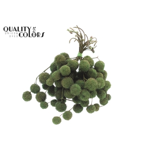 Small ball per bunch in poly Mint Green