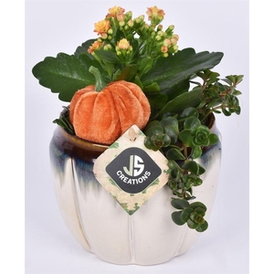 Keramiek pot creme 13.6cm
