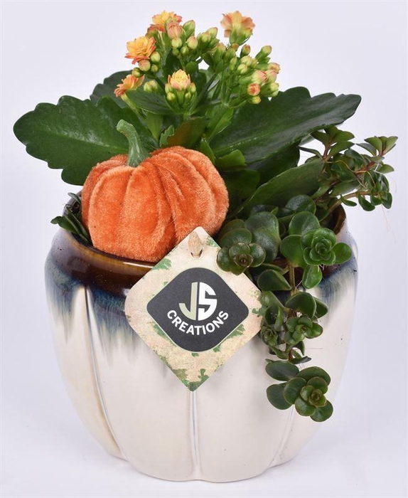 <h4>Keramiek pot creme 13.6cm</h4>
