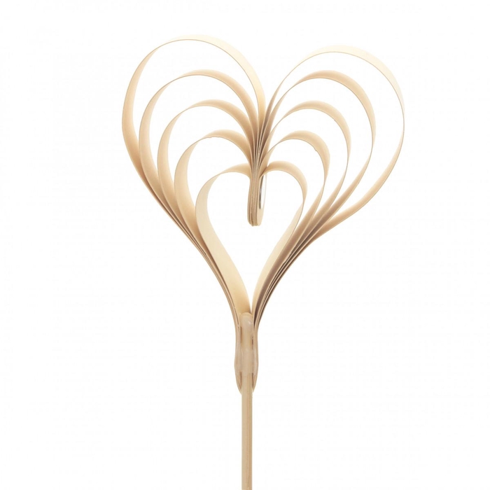 <h4>Love 50cm Heart Eternal Love 10cm</h4>