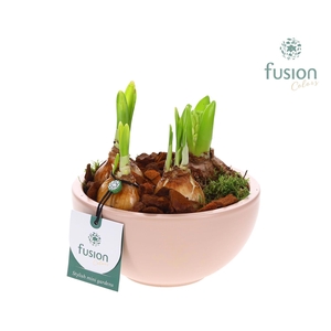 Schaal keramiek Moon Small blush pink met Bollen