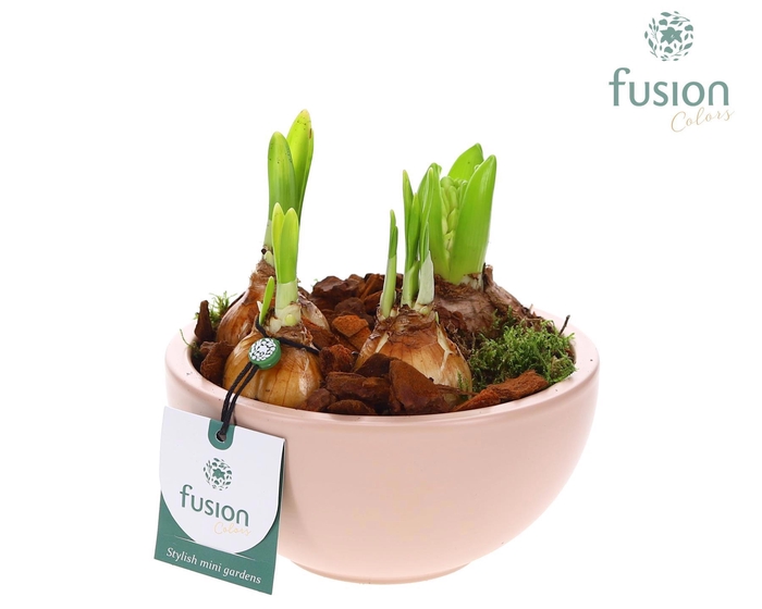 <h4>Schaal keramiek Moon Small blush pink met Bollen</h4>