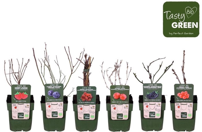 <h4>Fruitbomen en -heesters ov</h4>