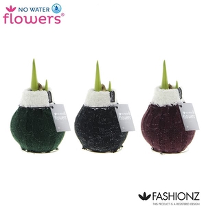 No Water Flowers® Fashionz Cozy Wooly