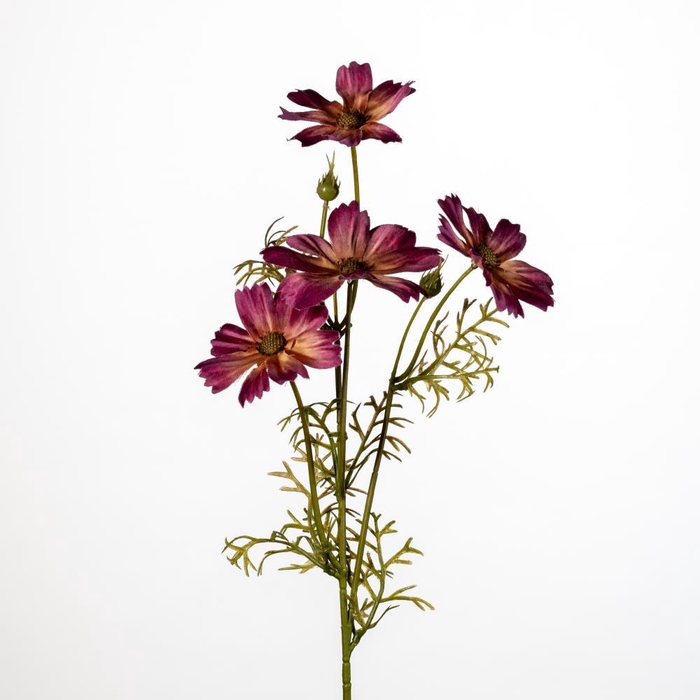 <h4>AF Cosmos x4 L60cm D.pink</h4>