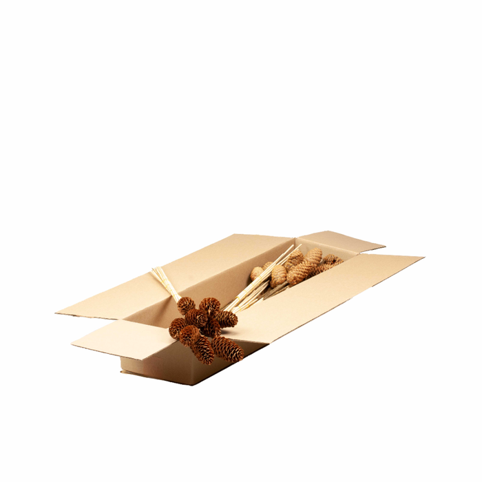 <h4>Spruce Cone O/s 10pc Sb Natural</h4>