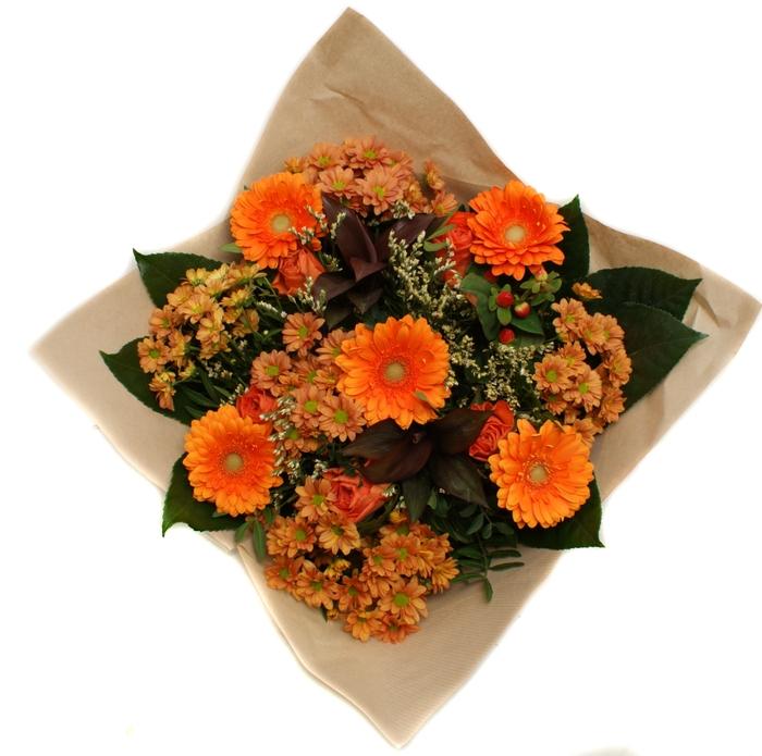 <h4>Rococo big Oranje</h4>