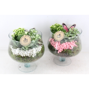 arr2 PL - Glas op voet - roze/wit