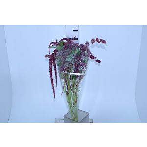 AMARANTHUS DOBRADO 070 CM PINK