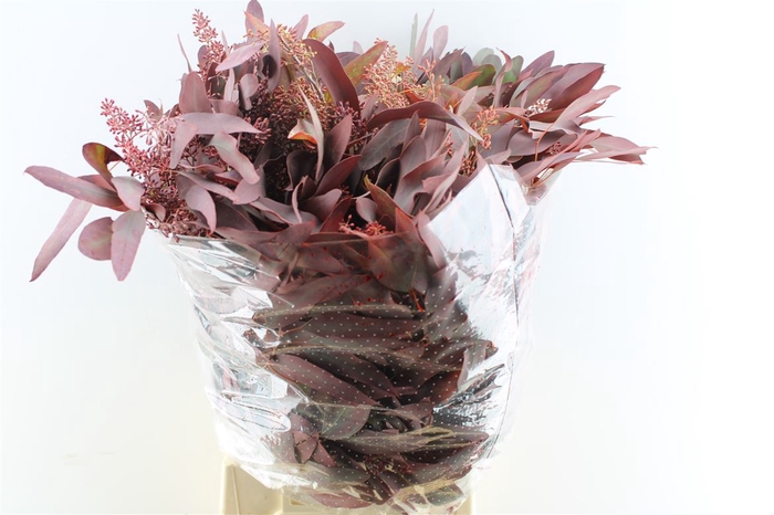 Euca Populus Berry Red Abs 300 Gram