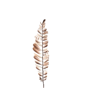 Homedeco Feather brach Aparani  60cm