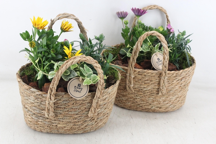 <h4>arr4 Outdoor PL - Mand hengsel ovaal 344/4 V2</h4>