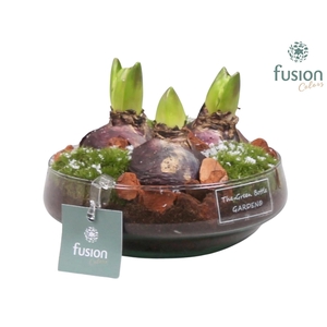 Green Bottle Iris Small met Hyacinten