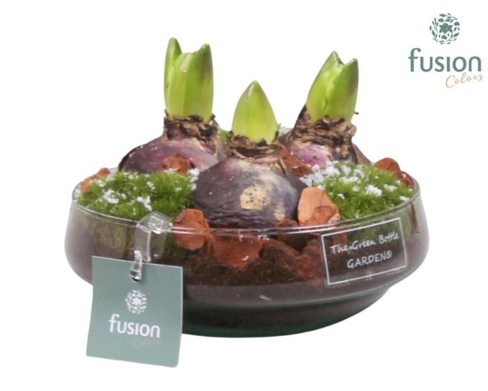 <h4>Green Bottle Iris Small met Hyacinten</h4>