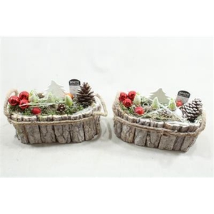 1139 SCHORS OVAAL HYAC