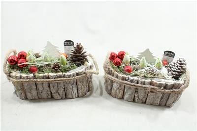 <h4>1139 SCHORS OVAAL HYAC</h4>