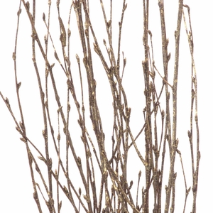 Birch 60cm Nat Gold Touch
