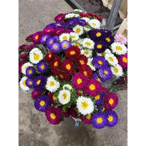 Callis Mats Mix Rainbow