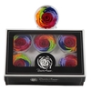 Rosa Preserved Ll Rainbow Red 02