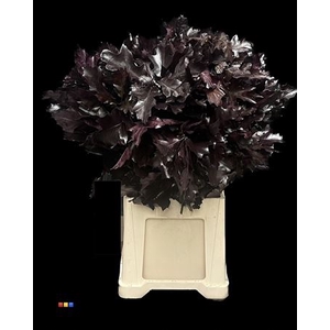 Eikeblad Transparant Aubergine 80cm