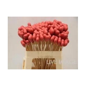 DECO stick heart red
