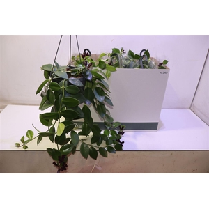 arr8 Aeschyn Mona Lisa