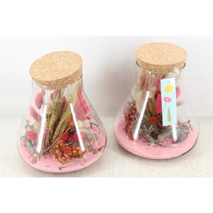 arr2 MB - Droogbl. paris x6