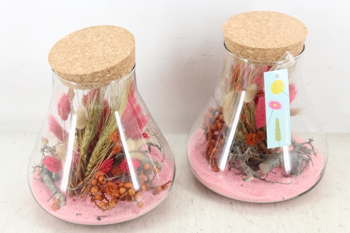 <h4>arr2 MB - Droogbl. paris x6</h4>