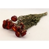 Bunch Helichrysum Slv 100g L50
