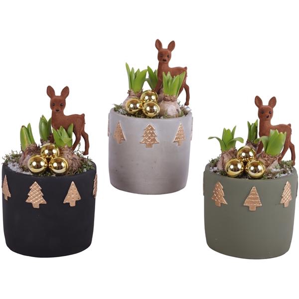 <h4>Christmas Arr. Indoor Ceramic Pot Round Christmastrees Ø14cm 3PP</h4>