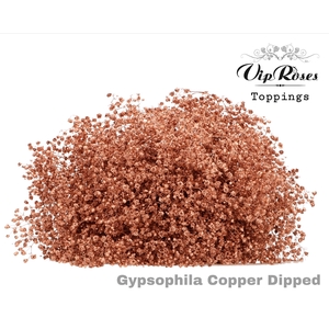 GYPS PA DIPPED COPPER 998