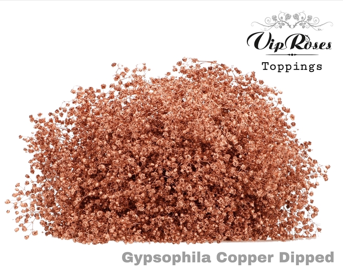 <h4>GYPS PA DIPPED COPPER 998</h4>