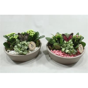 4982 Ker Kon Laag Taupe!!