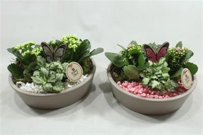 <h4>4982 KER KON LAAG TAUPE!!</h4>